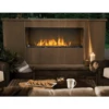 Napoleon Galaxy 48-Inch Outdoor Vent Free Gas Fireplace (GSS48E)