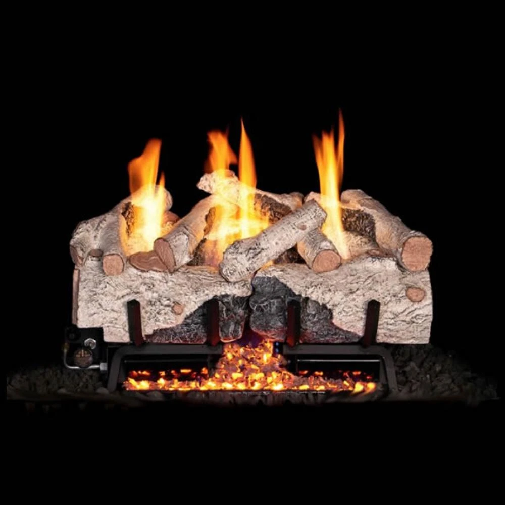 Real Fyre Charred Alpine Birch Vent-Free Gas Log Set Insert 1 Real Fyre Charred Alpine Birch Vent-Free Gas Log Set Insert