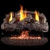 Real Fyre Charred Frontier Oak Vent-Free Gas Log Set Insert