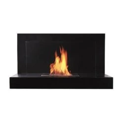 The Bio Flame Lotte 35-Inch Black Wall Mounted Ethanol Fireplace